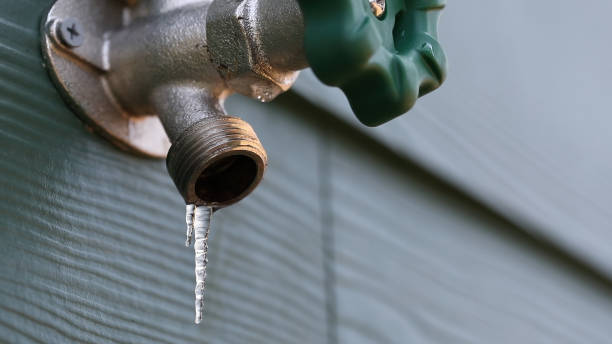 Best Shower Repair Services  in Rockville Centre, NY